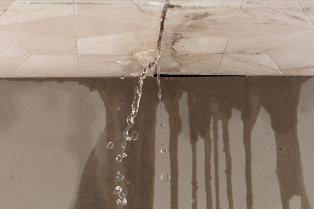 Professional Structural Drying technician working in Hecker, IL